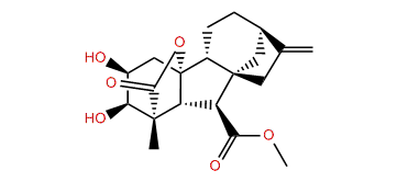 Gibberelline GA34 methyl ester